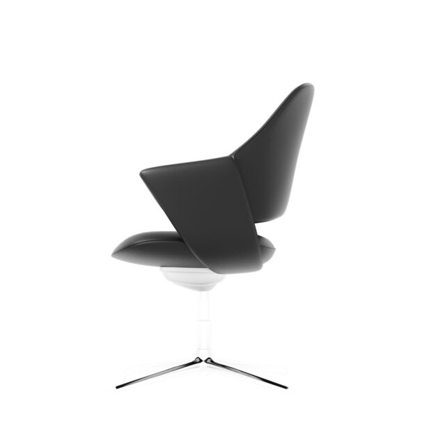 Conference One Bok